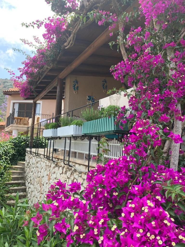 Sea View Bougainvillea 52 คัลคัน ภายนอก รูปภาพ